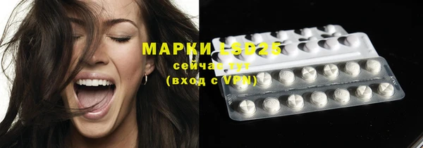 шишки Алексин