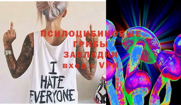 стаф Алексеевка