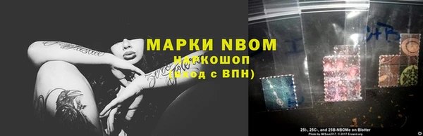 шишки Алексин