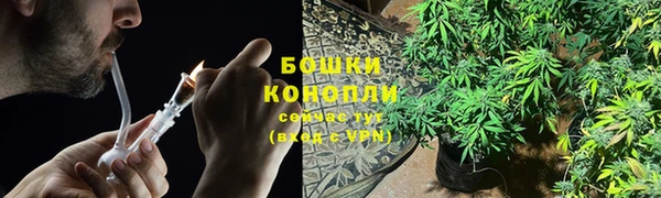 шишки Алексин